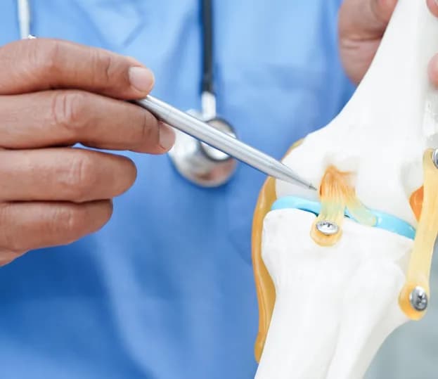 Bilateral Knee Replacement